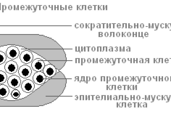 Kraken официальный сайт вход